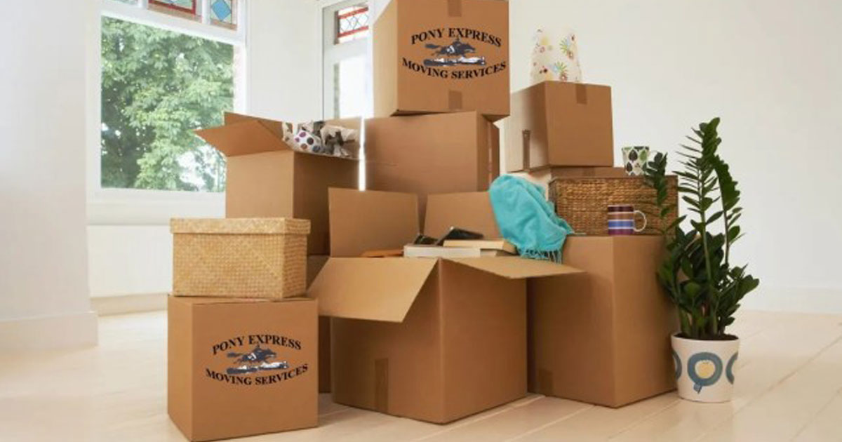 Moving Plants to Your New Home